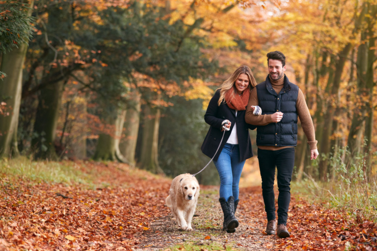 The Most Beautiful Season... 8 Reasons to Be Happy in Autumn