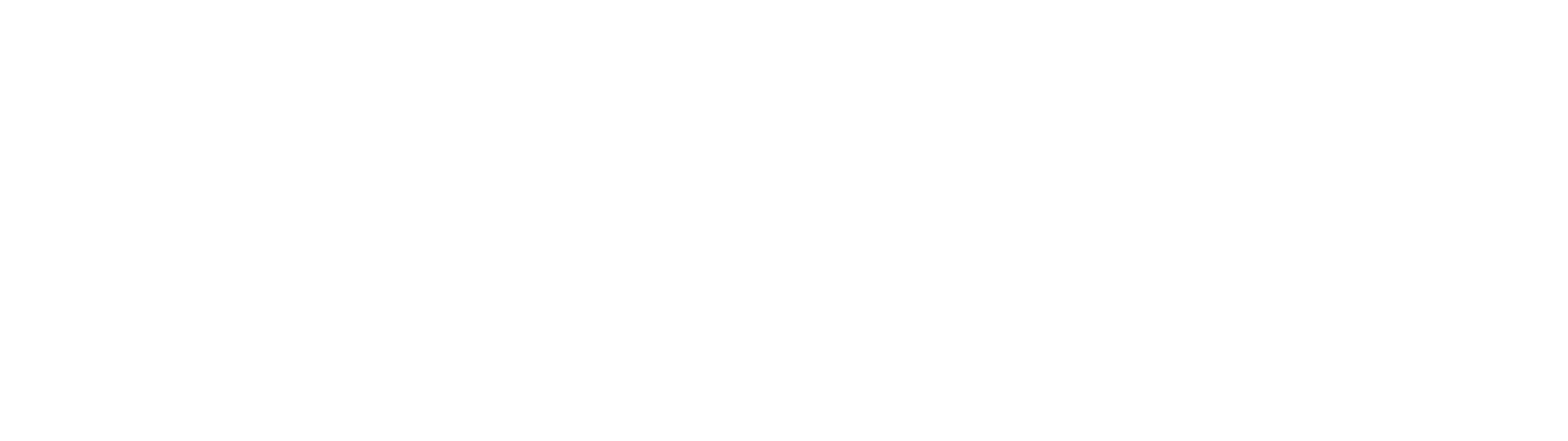 Elite World INN