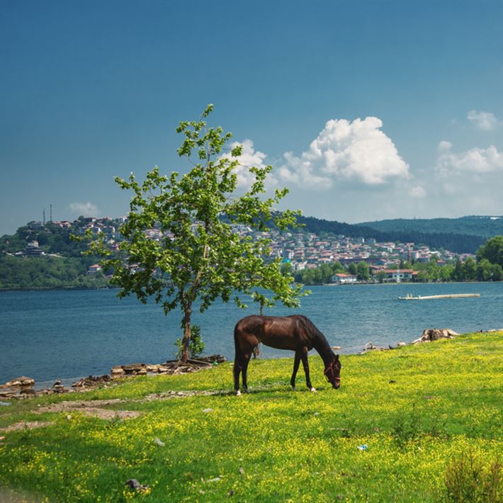 YAZ AYLARINDA SAKİN VE DOĞA İÇİNDE TATİL YAPMAK İSTEYENLERE ÖZEL BİR ALTERNATİF: SAPANCA