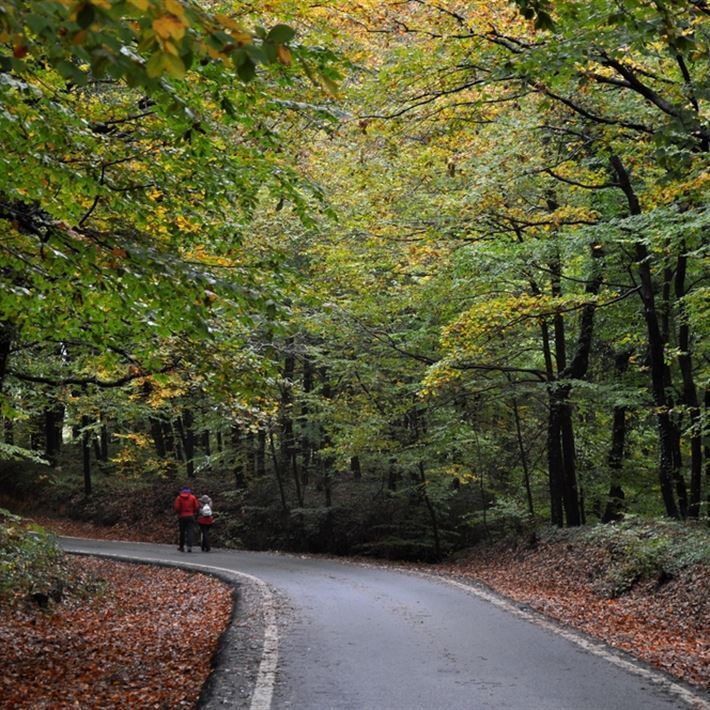 İSTANBUL'DA KOŞU İÇİN EN ŞAHANE 10 PARKUR